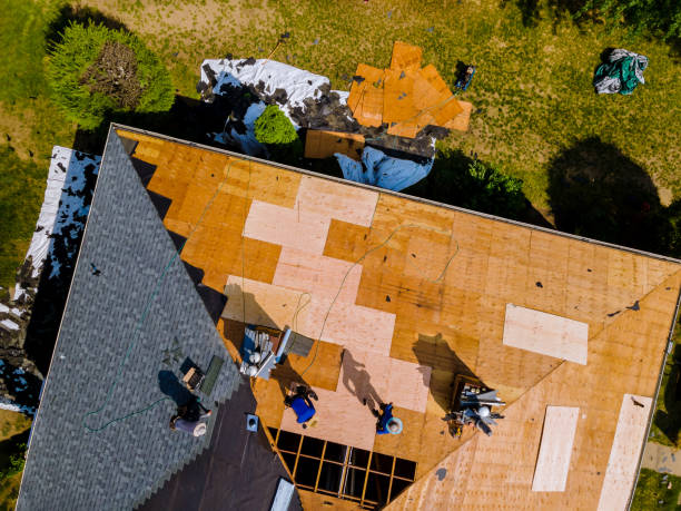 Best Flat Roof Repair Services  in Paulina, LA